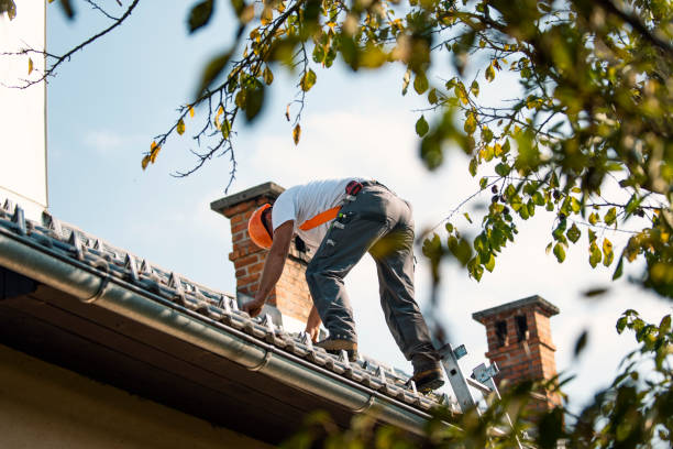 Best Shingle Roofing Installation  in New California, OH